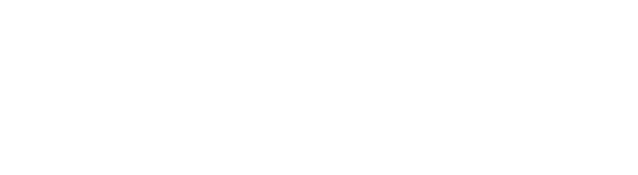 The Olde Soul