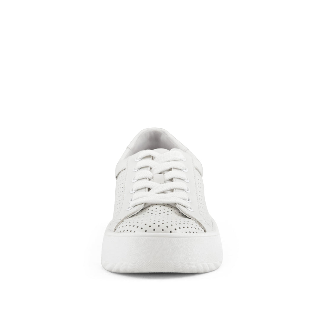 Women's Manila Perf Lace Up Sneaker White by Nest Shoes