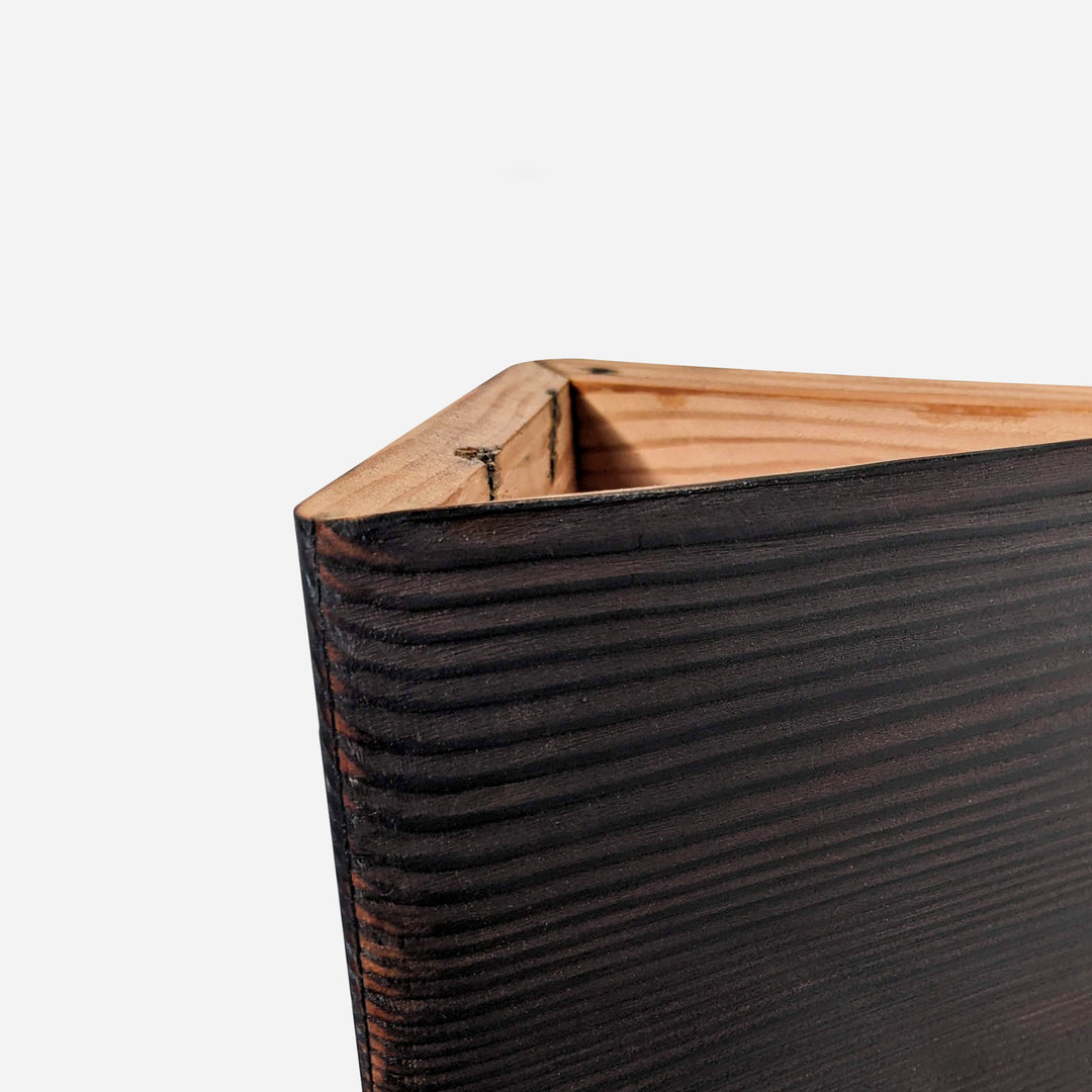 Triangle Self-Watering, Wall-Mounted Planter by Formr