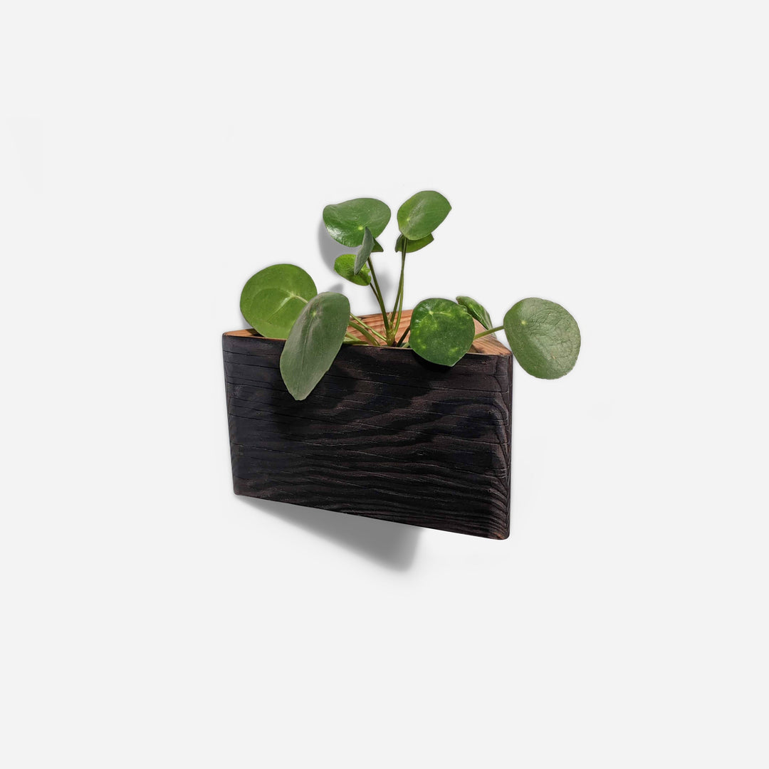 Triangle Self-Watering, Wall-Mounted Planter by Formr