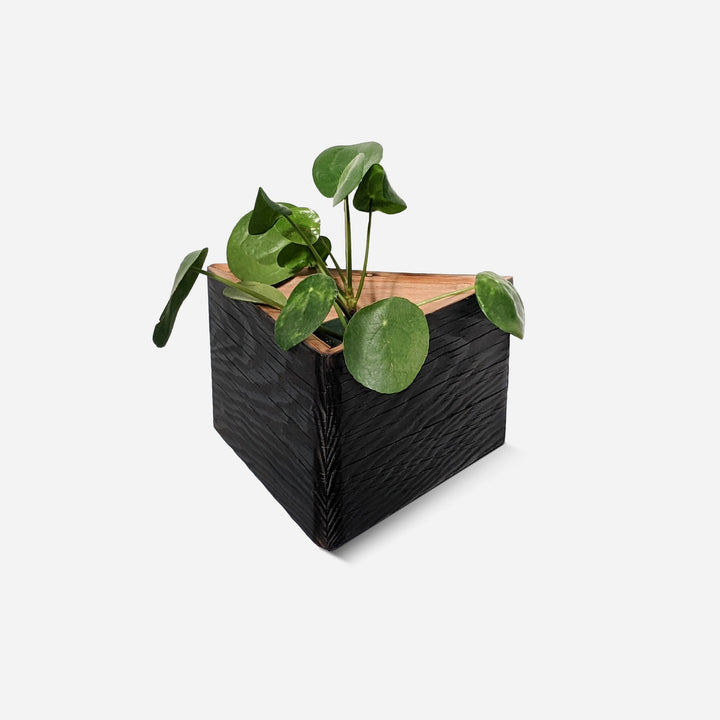 Triangle Self-Watering, Wall-Mounted Planter by Formr