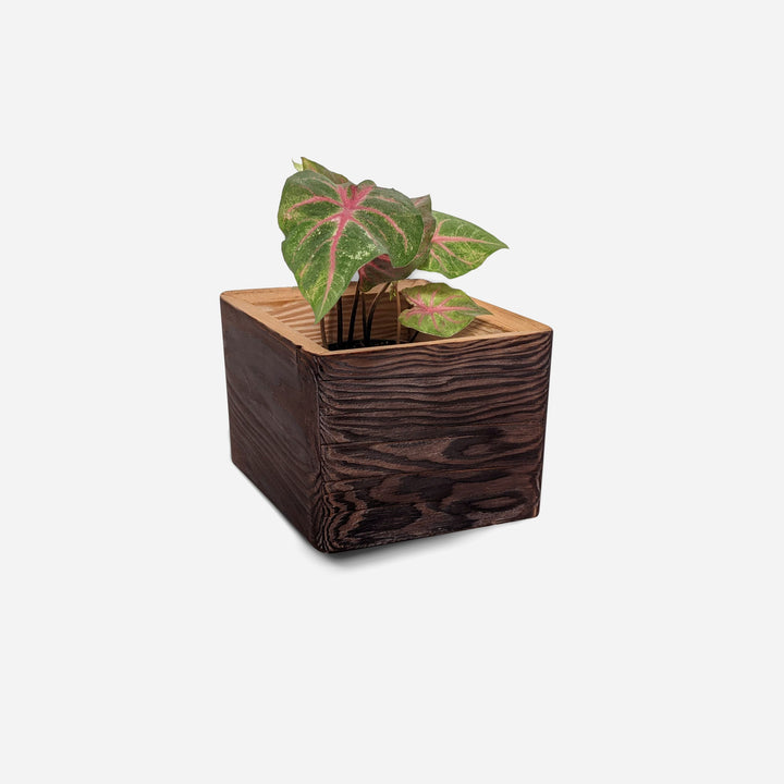 Diamond Self-Watering, Wall-Mounted Planter by Formr