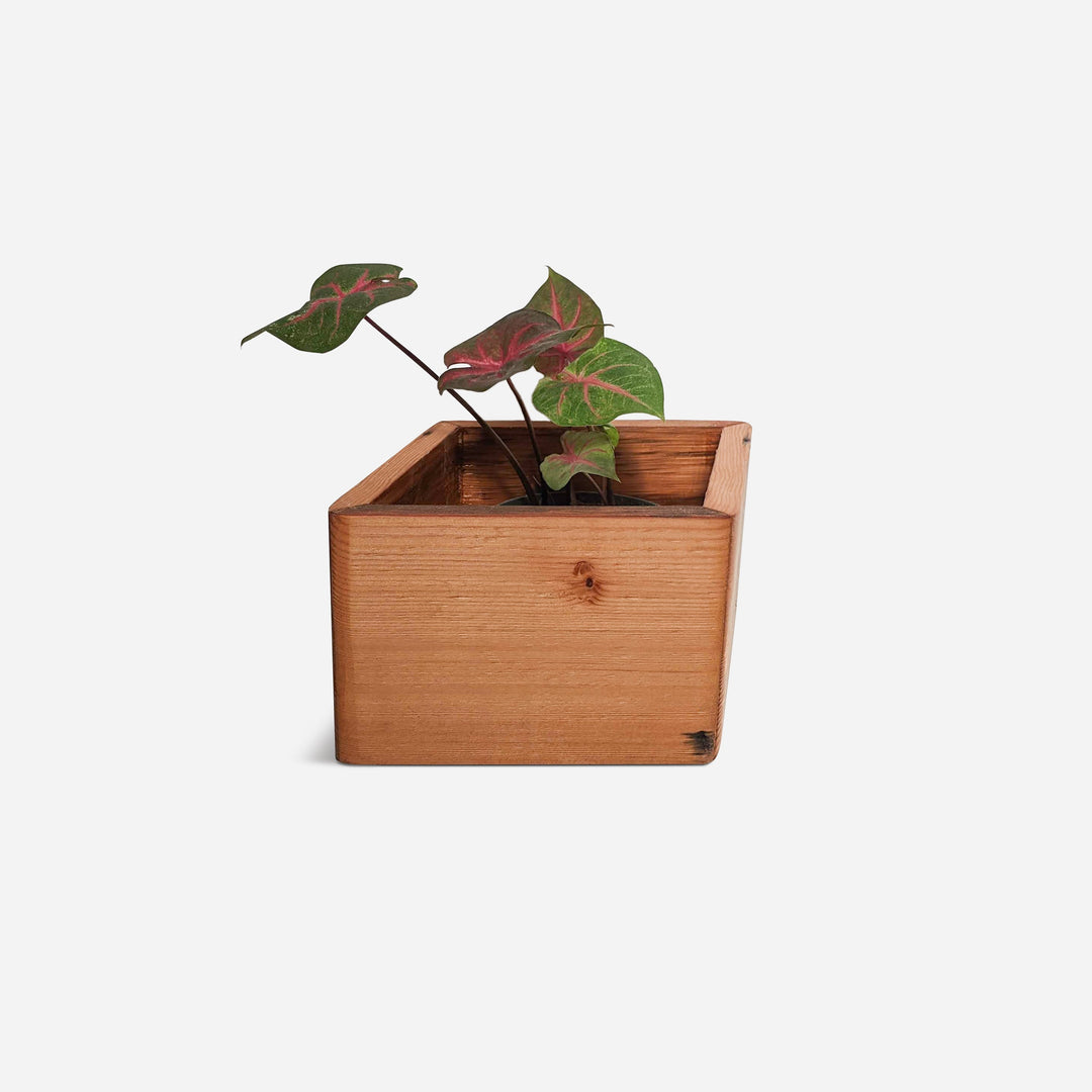Diamond Self-Watering, Wall-Mounted Planter by Formr